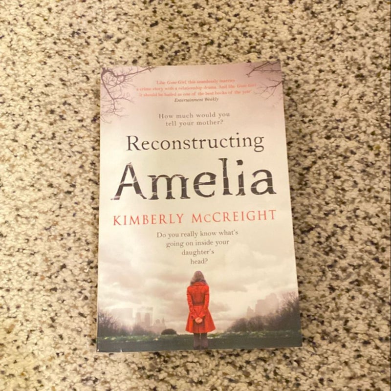 Reconstructing Amelia