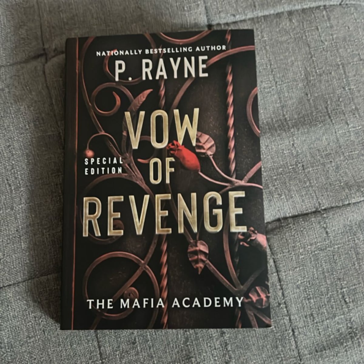 Vow of Revenge by P. Rayne, Paperback | Pangobooks