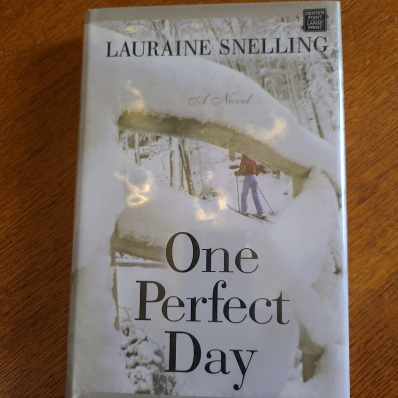 One Perfect Day