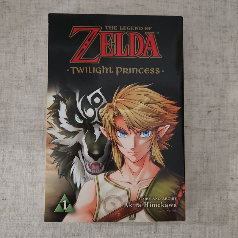 The Legend of Zelda: Twilight Princess, Vol. 1