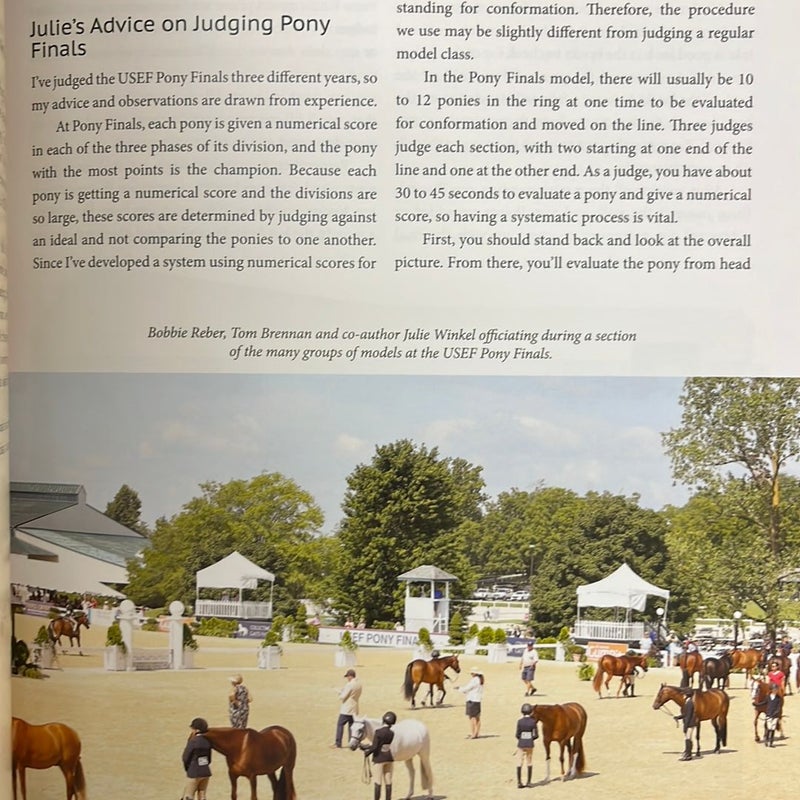 Judging Hunters and Equitation