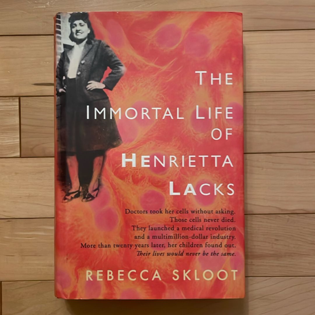 Sale image for 3f16cb4f-3960-4578-afa9-fa8947168151-Ztvk0AVgnsWM6vqbNGWwHgODFIz1