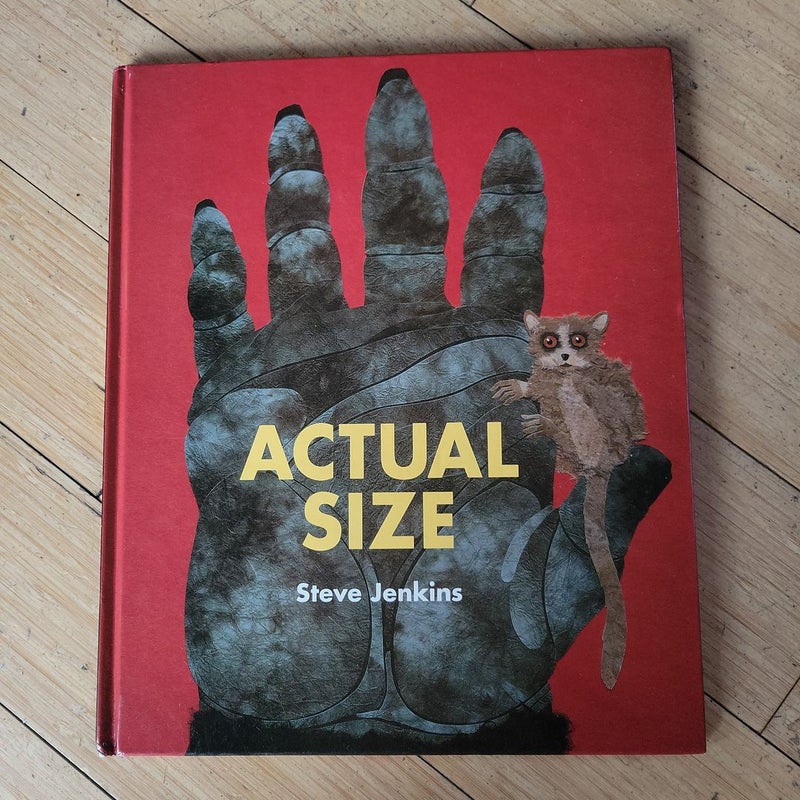 Actual Size