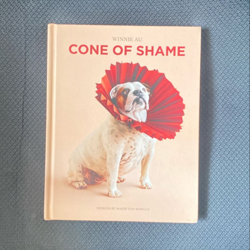 Cone of Shame