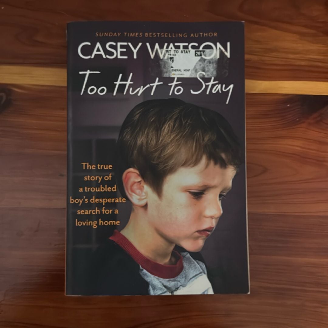 Too Hurt to Stay: the True Story of a Troubled Boy's Desperate Search for a Loving Home