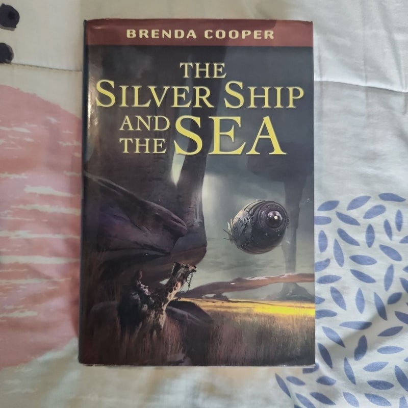 The Silver Ship and the Sea