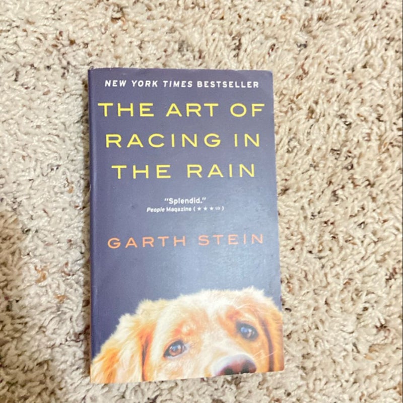 The Art of Racing in the Rain