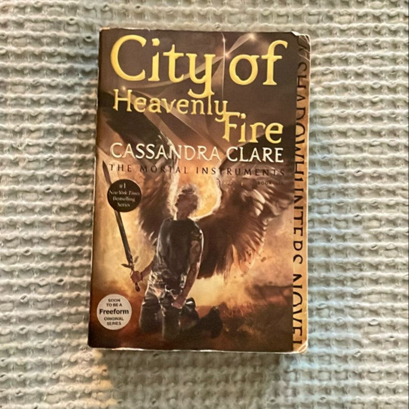 City of Heavenly Fire