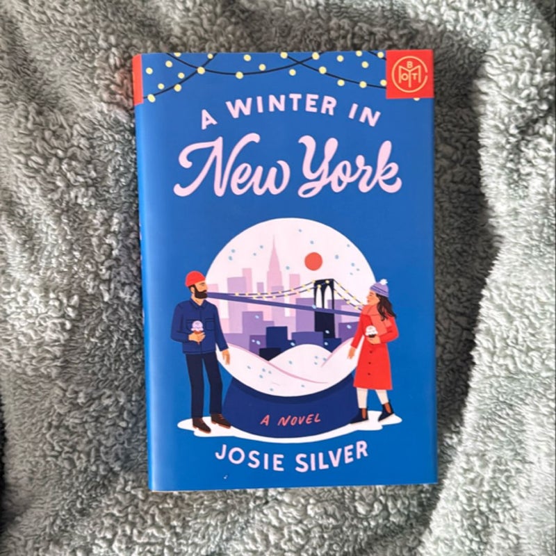 A Winter in New York