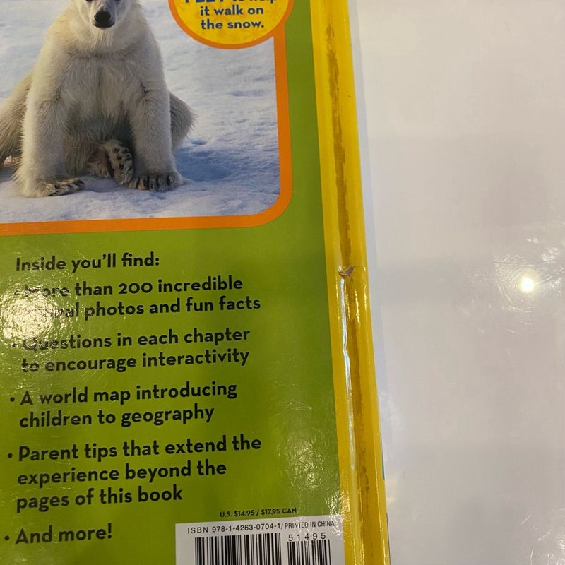 Kids' Large Animal Books Bundle