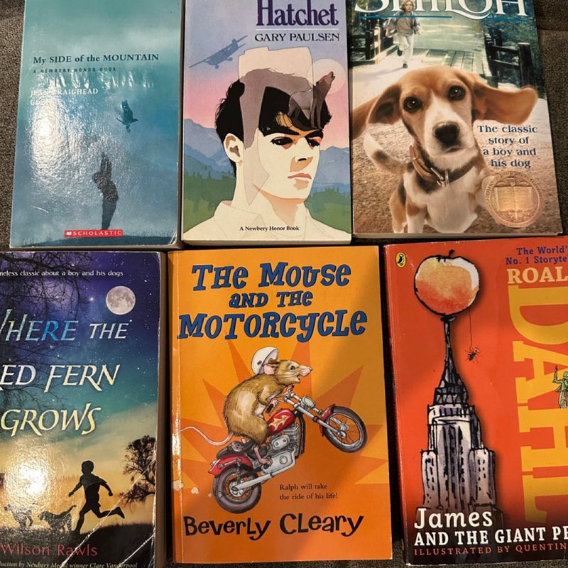 Classic Middle School Chapter Books