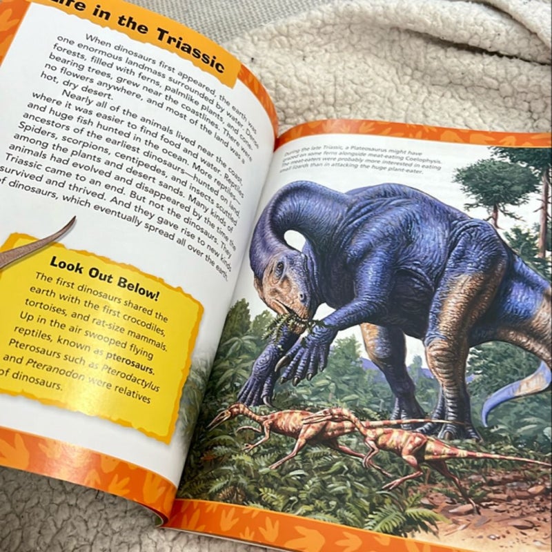 Animal Adventures: Dinosaurs