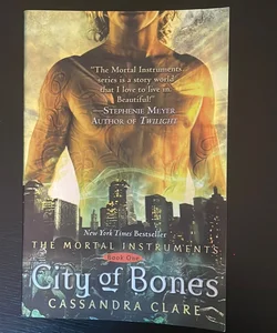 City of Bones 2 books