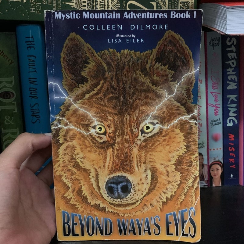 Beyond Waya’s Eyes