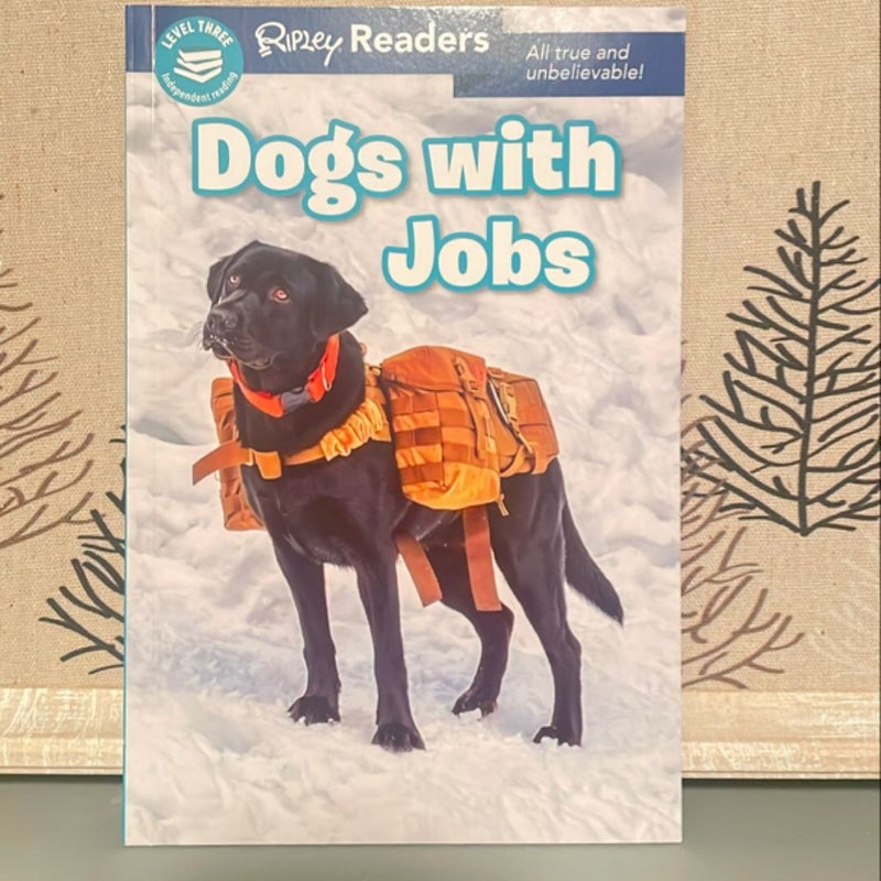 Ripley Readers LEVEL3 Dogs with Jobs