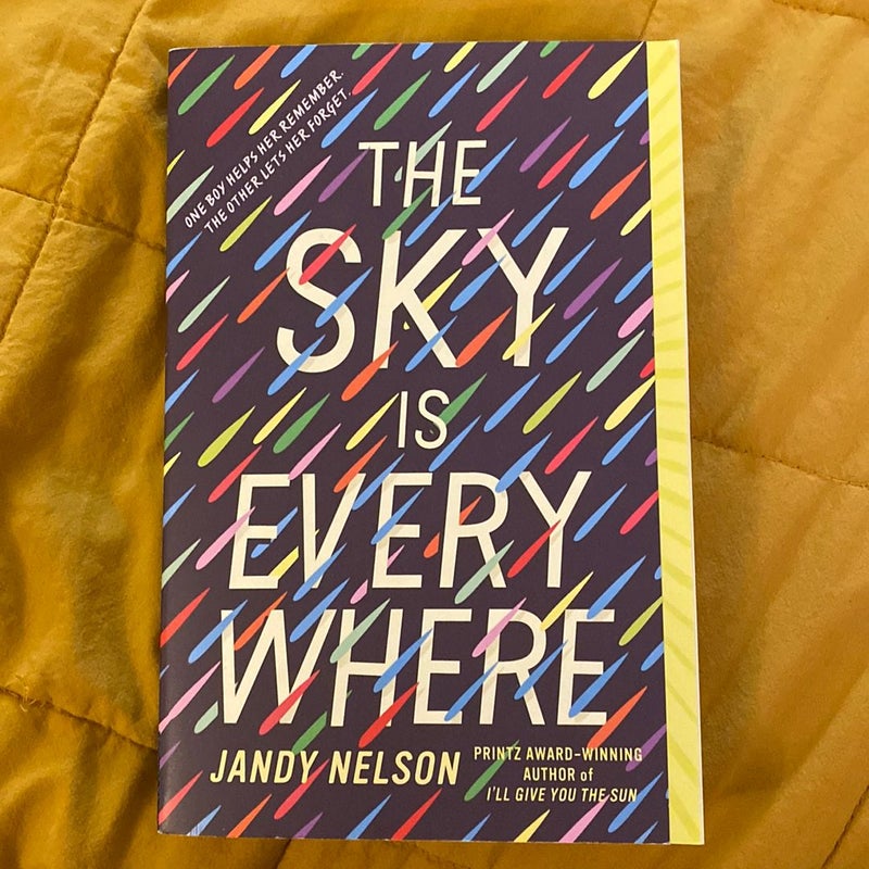 The Sky Is Everywhere by Jandy Nelson