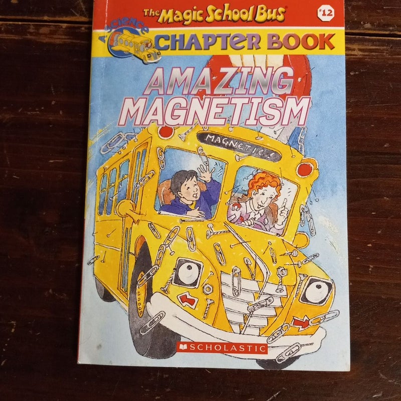 Amazing Magnetism Slim PB Scholastic 2001 Magic School Bus