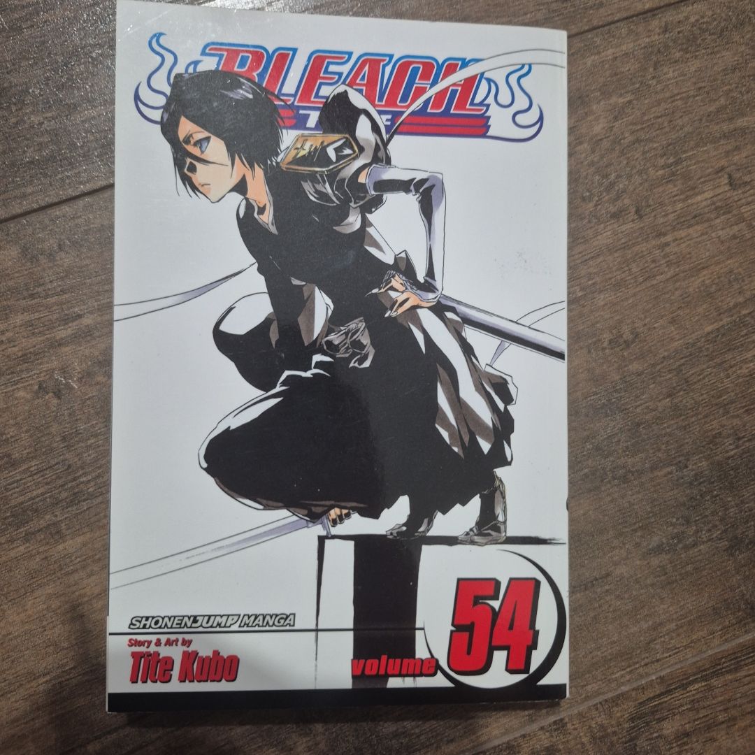 Bleach, Vol. 54