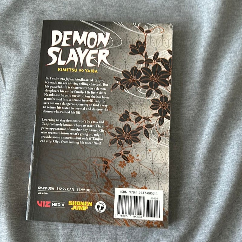 Demon Slayer: Kimetsu No Yaiba, Vol. 1