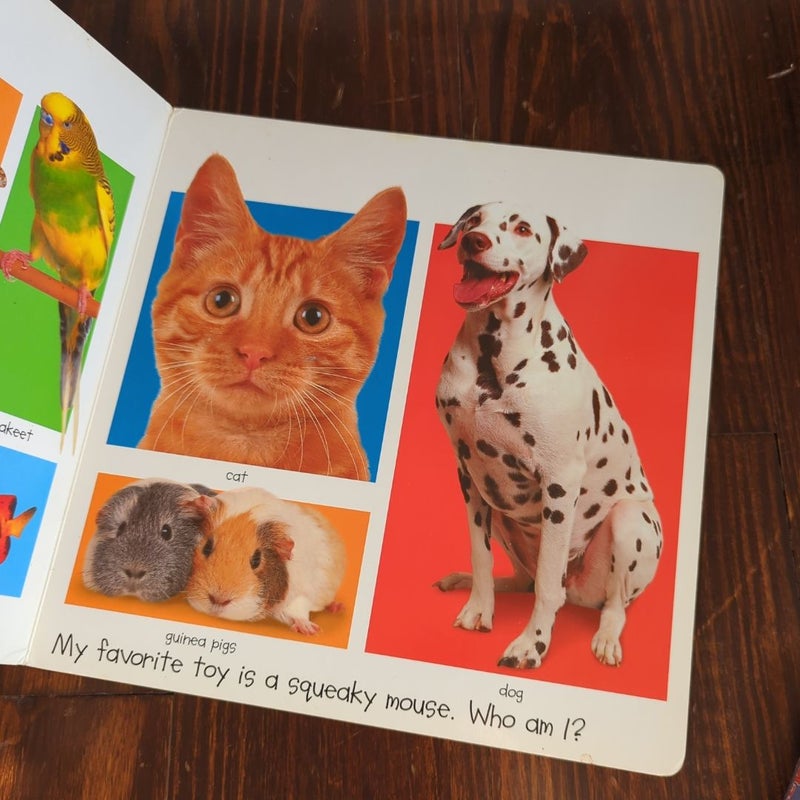 My Big Animal Book