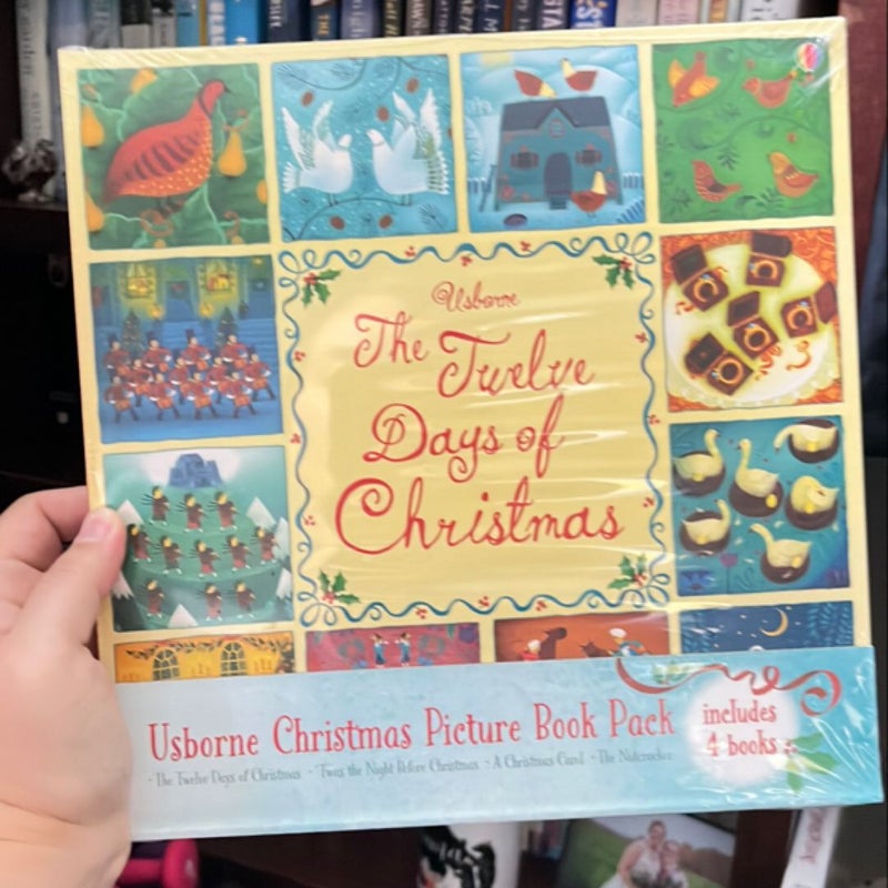 Usborne Christmas Picture Book Pack