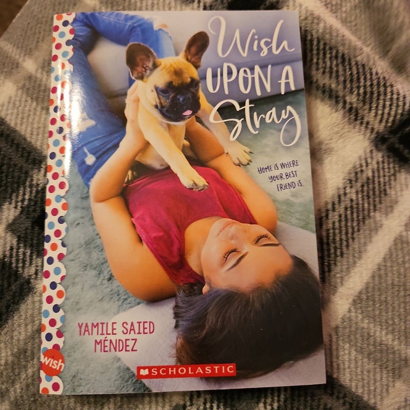 Wish upon a Stray: a Wish Novel
