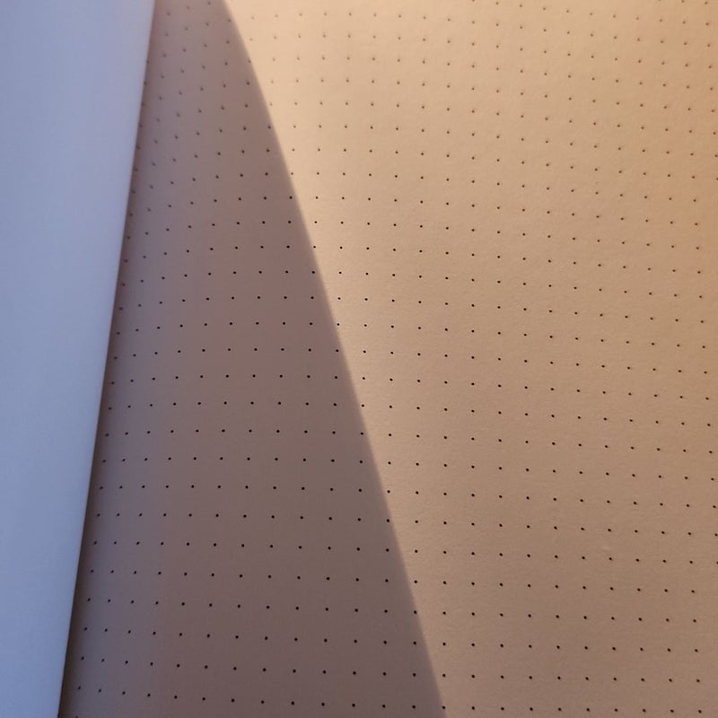 TeNeues Head of Skeleton notebook