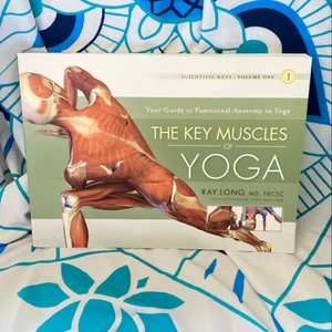 Key Muscles of Yoga