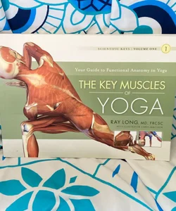 Key Muscles of Yoga