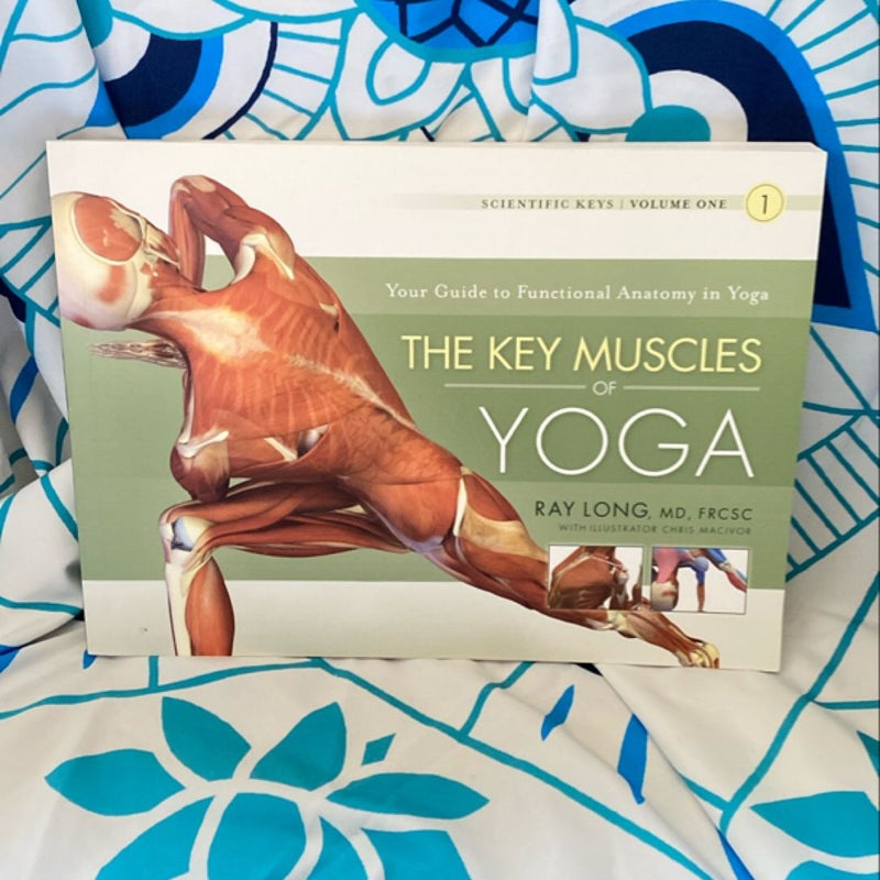 Key Muscles of Yoga