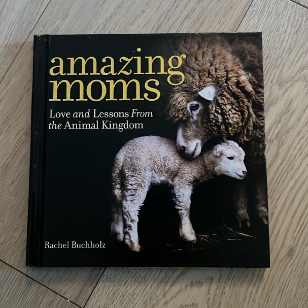 Amazing Moms