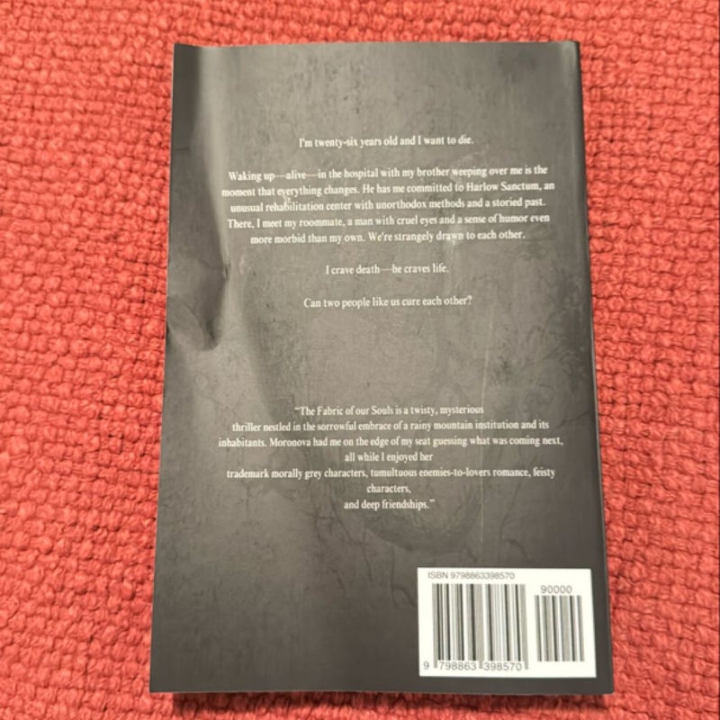 The Fabric of Our Souls (oop indie cover)