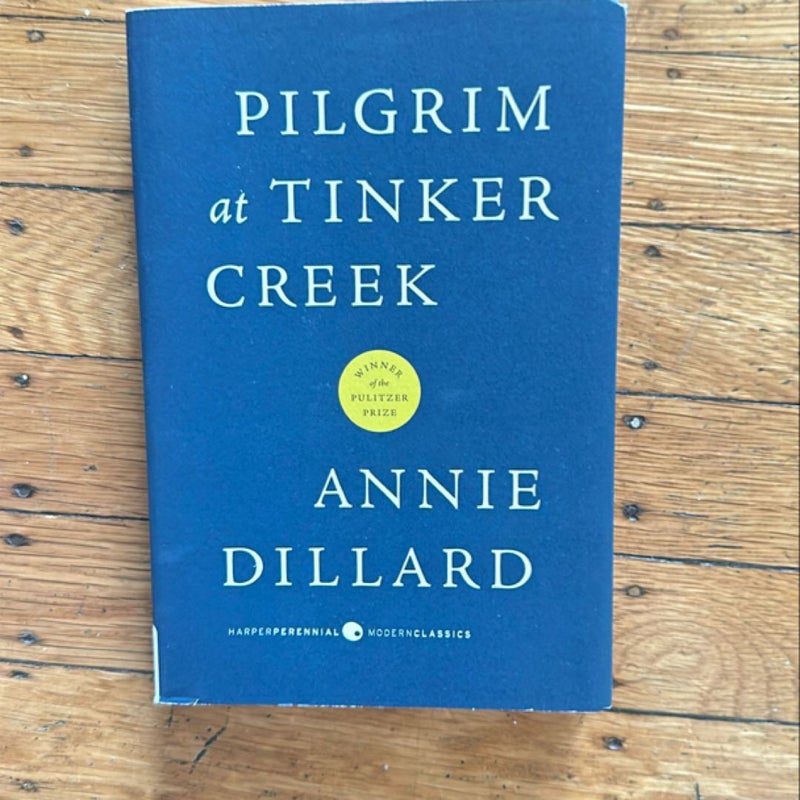 Pilgrim at Tinker Creek