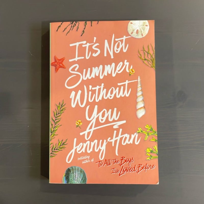 It's Not Summer Without You