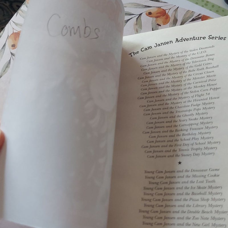Cam Jansen and the Snowy Day Mystery