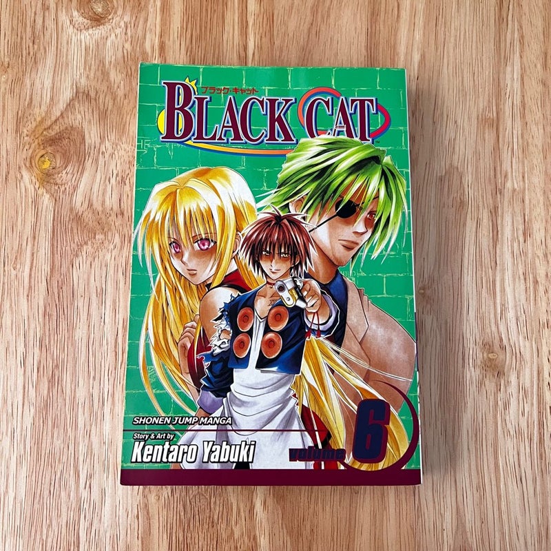 Black Cat, Vol. 6
