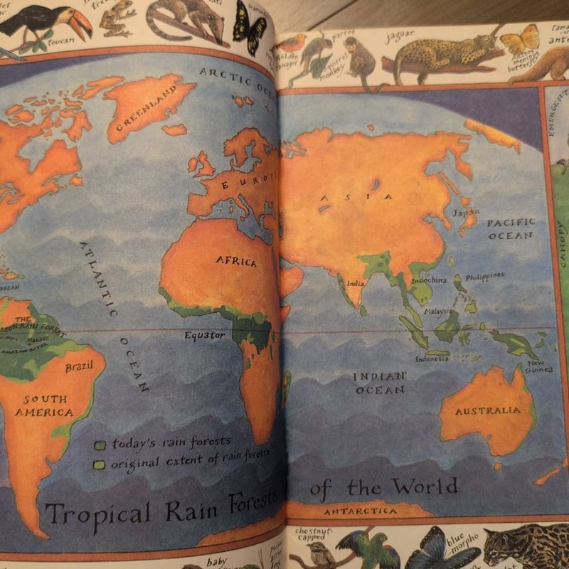 The Great Kapok Tree