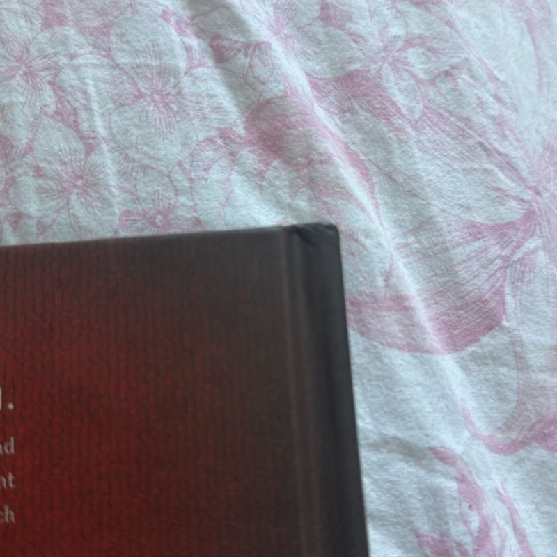 Harry Potter and Fantastic Beasts: the Wands of the Wizarding World