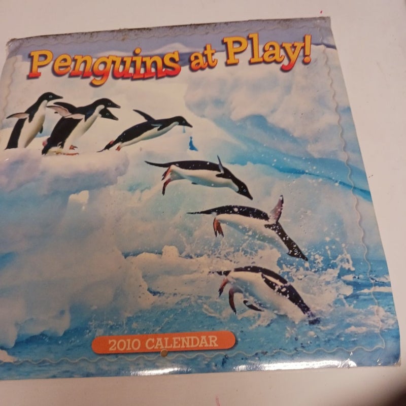 Penguins at Play!