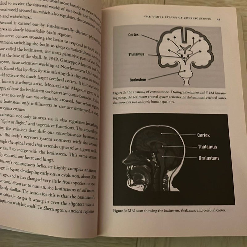 The Spiritual Doorway in the Brain