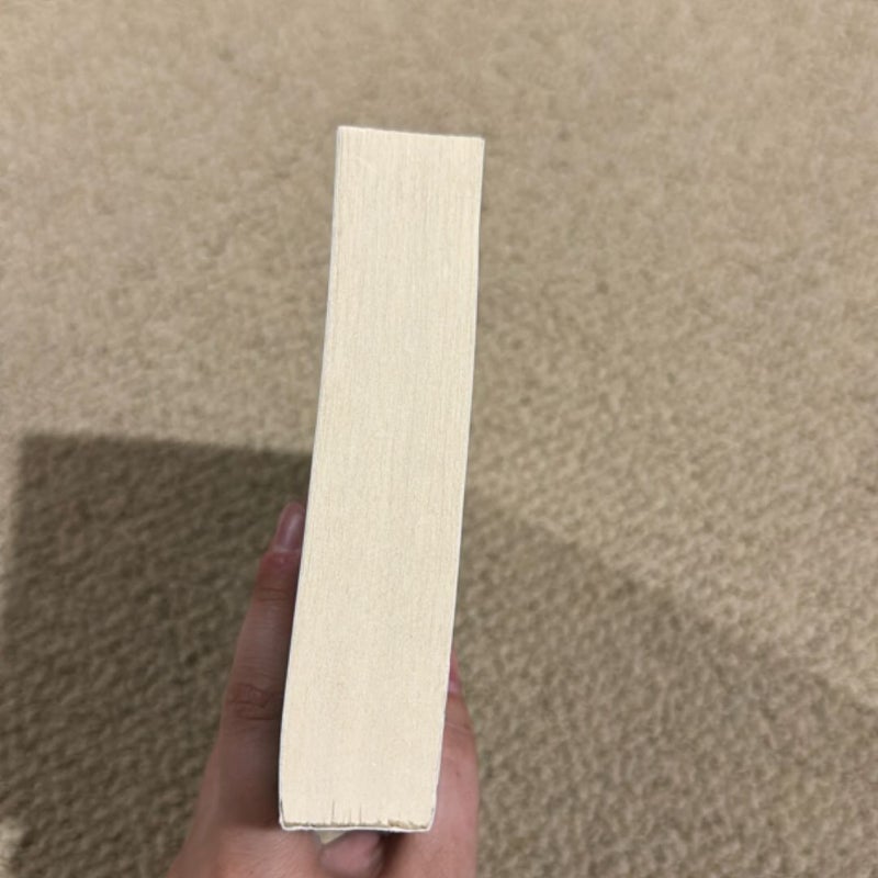 A Cat Cafe Christmas