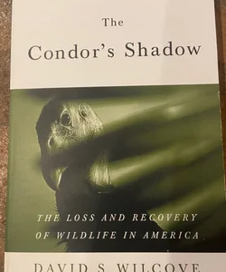 The Condor's Shadow