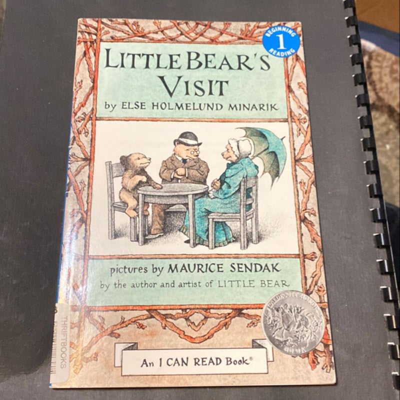 Little Bear's Visit