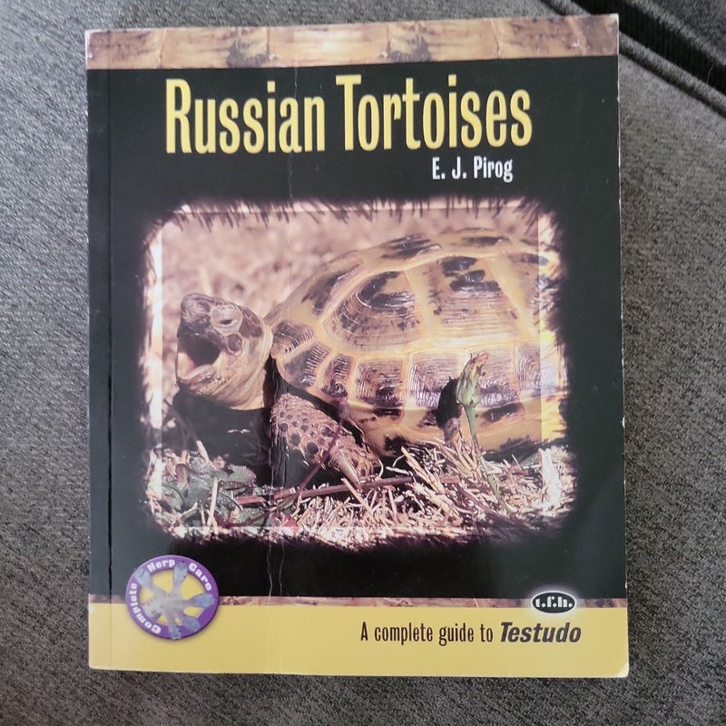 Russian Tortoises
