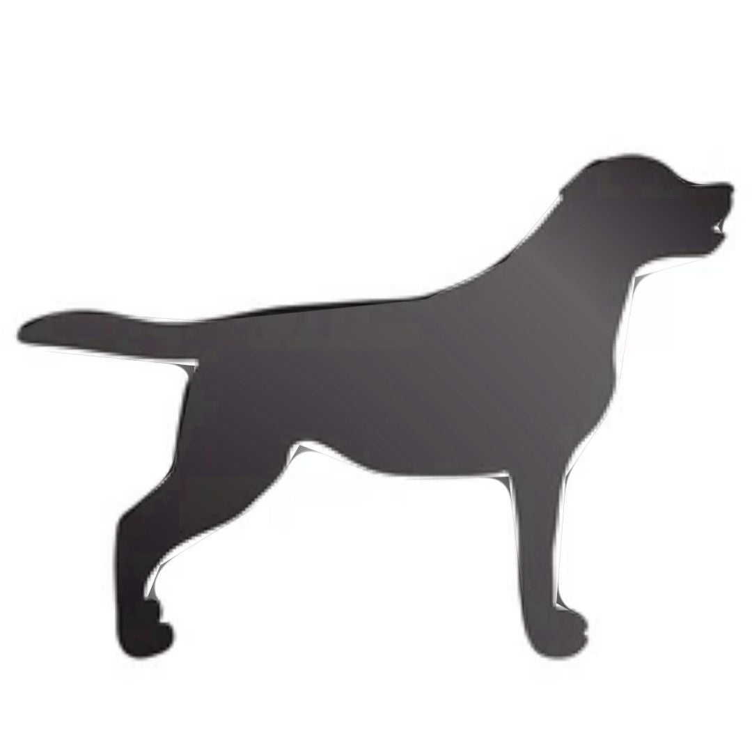 Pup Girl Boutique