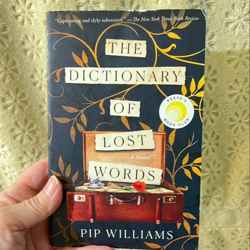 The Dictionary of Lost Words