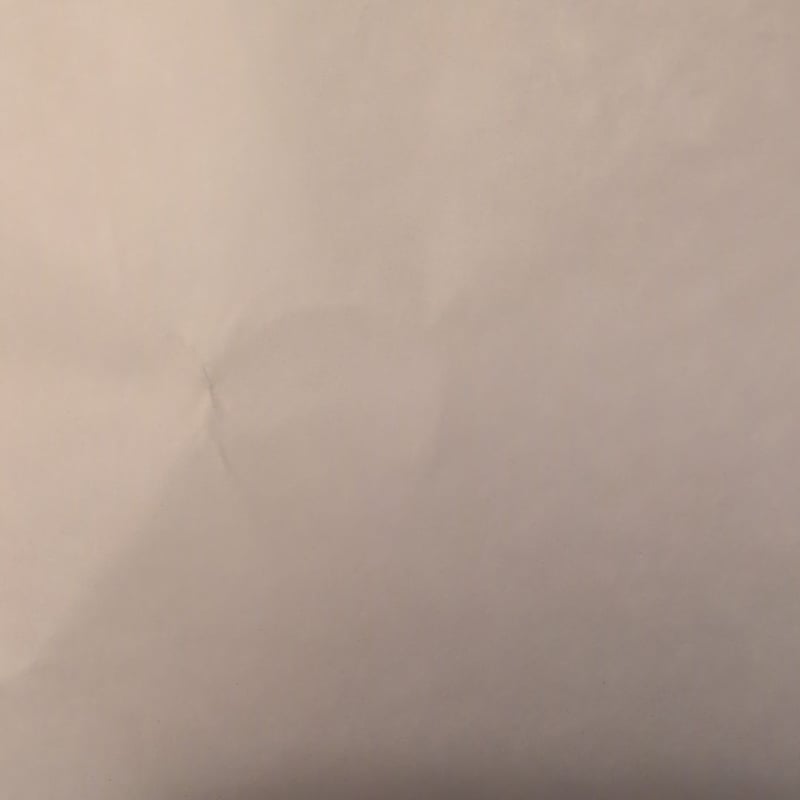 The Great Kapok Tree