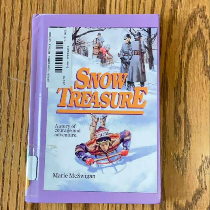 Snow Treasure