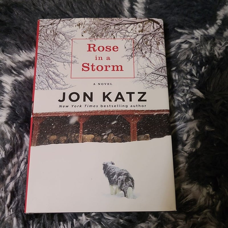 Rose in a Storm *Large Print Edition*