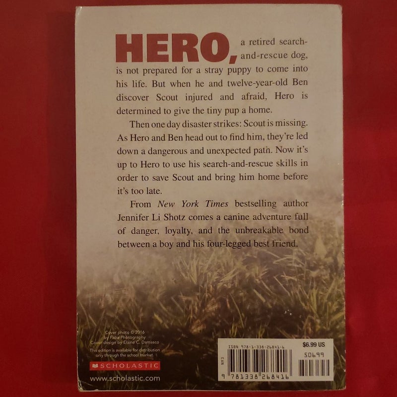 Hero (paperback)